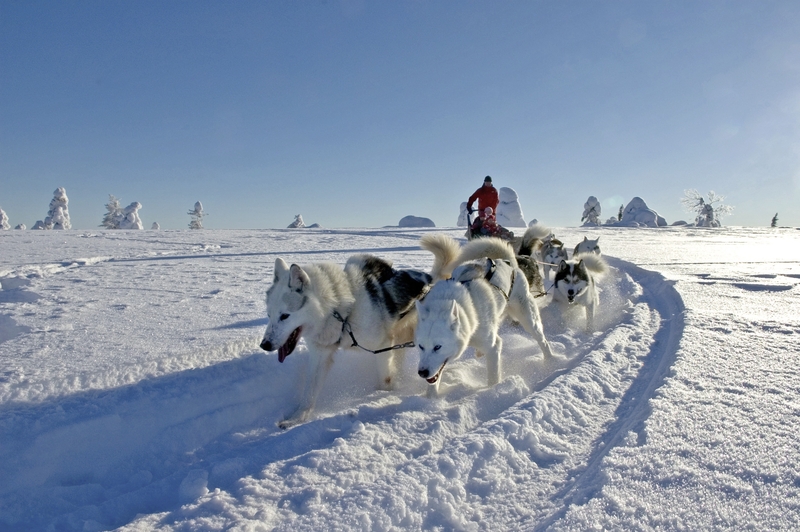 Lappland aktiv erleben