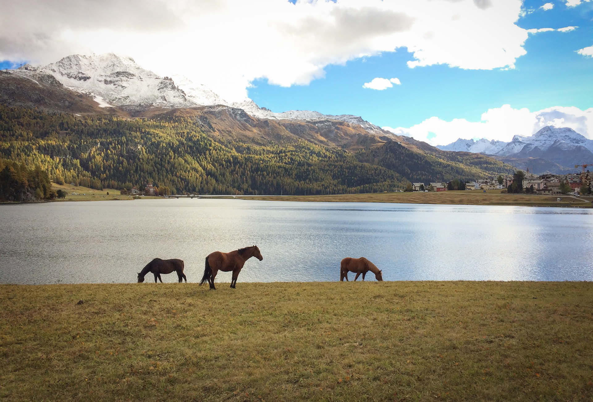 Radtour-schweiz3.jpg