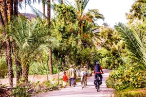 e-bike-reisen-Marokko8.jpg