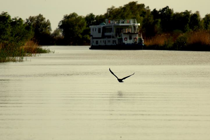 radschiff-donaudelta2.png