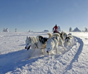 Lappland aktiv erleben