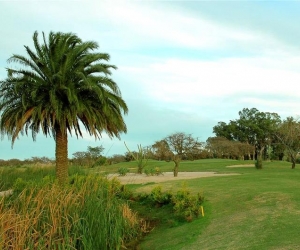 Sheraton Colonia Golf & Spa Resort 