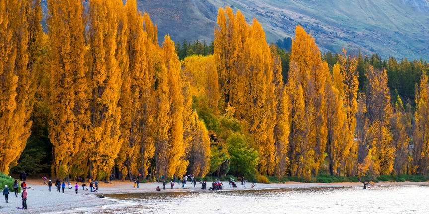 wanaka_1.jpg